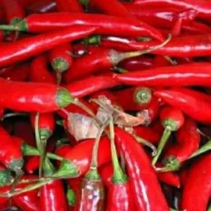 cabe besar 250g