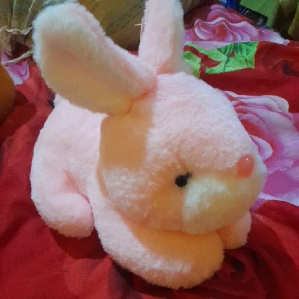 kelinci pink
