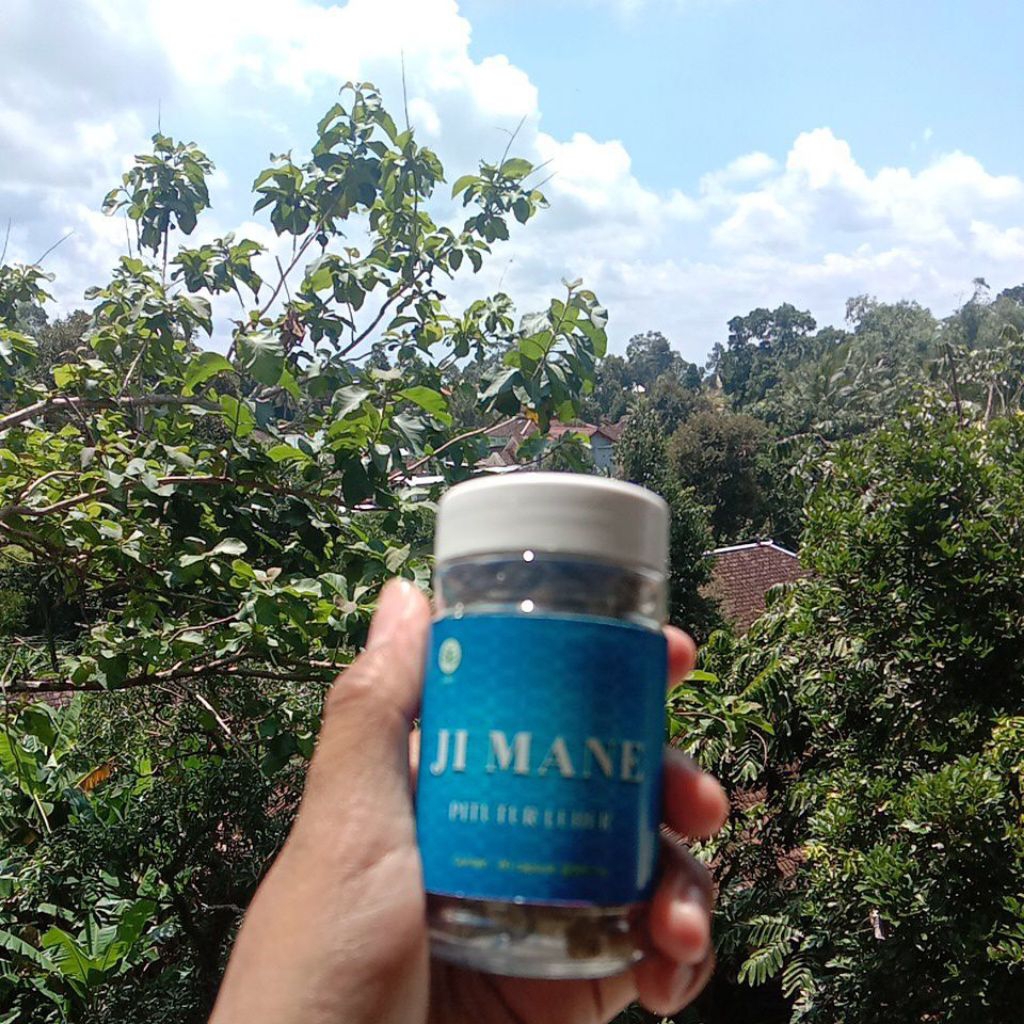 Jimane Pitutur Luhur Original