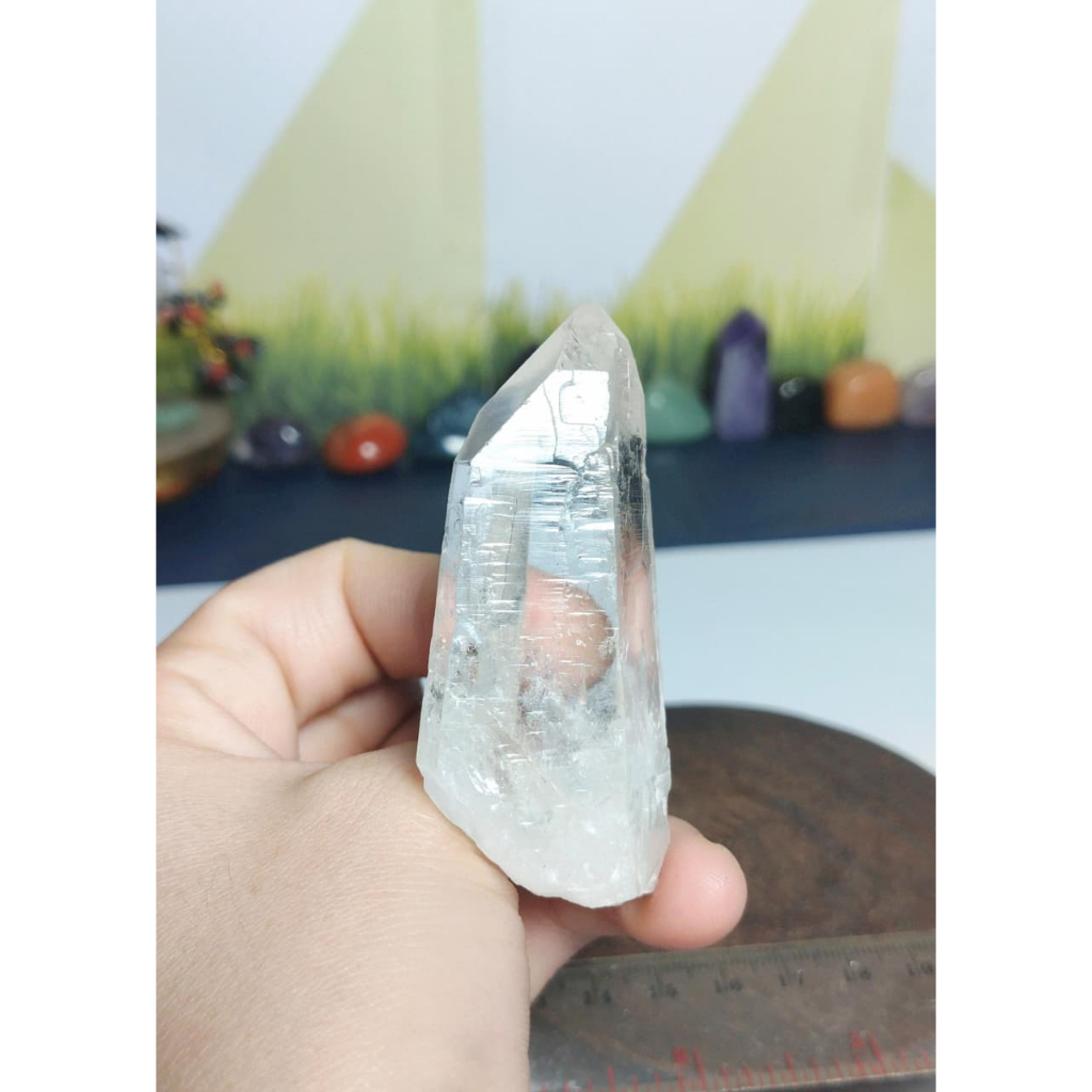 Natural Pointer Lemurian Seed Quartz Brazil (14)