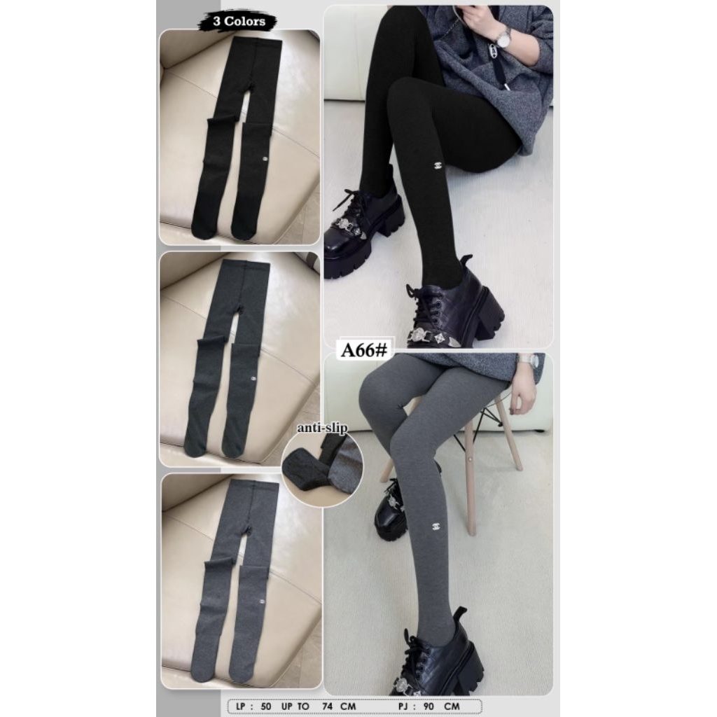 a66-2 warna