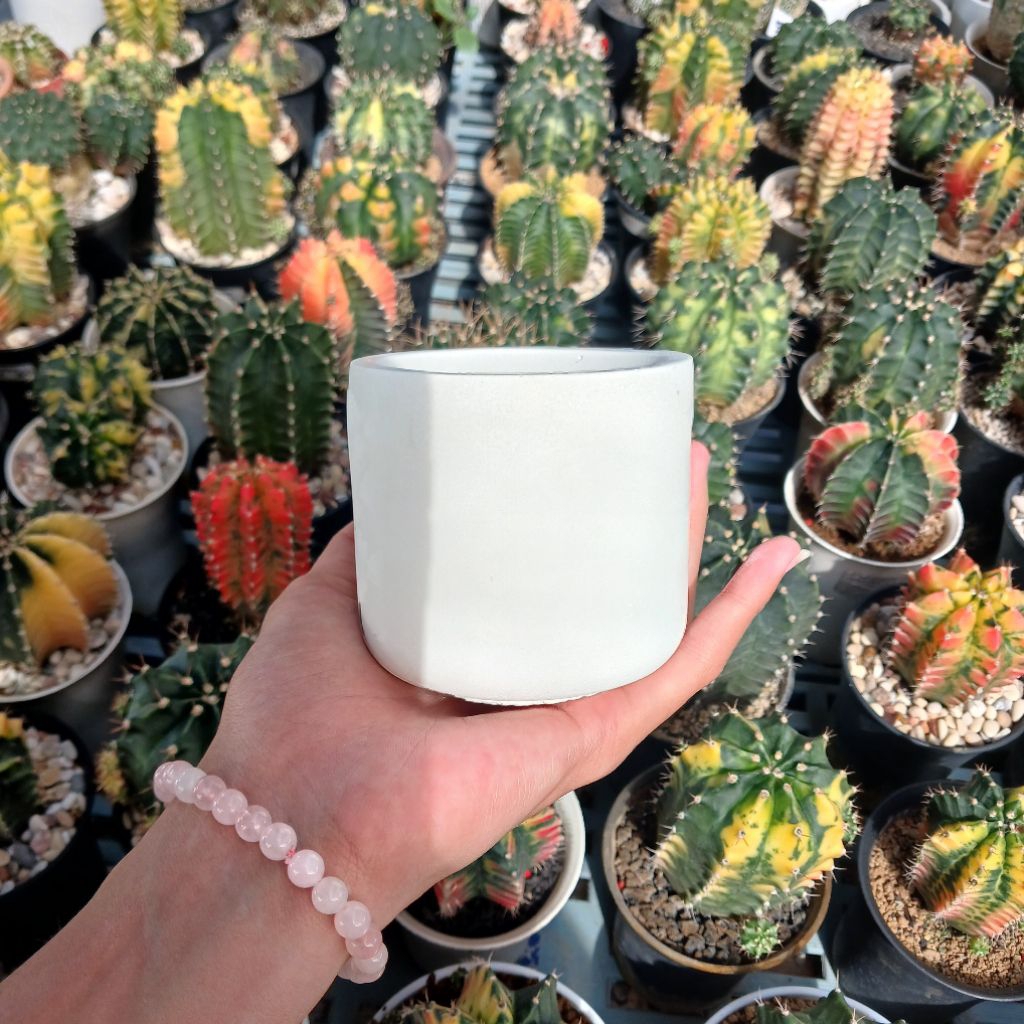 Pot Flat Silinder Minimalis