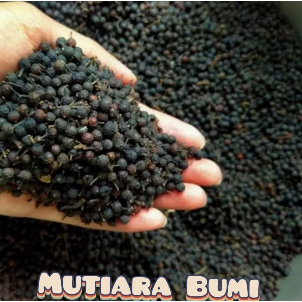 Kemukus kering 500 gram