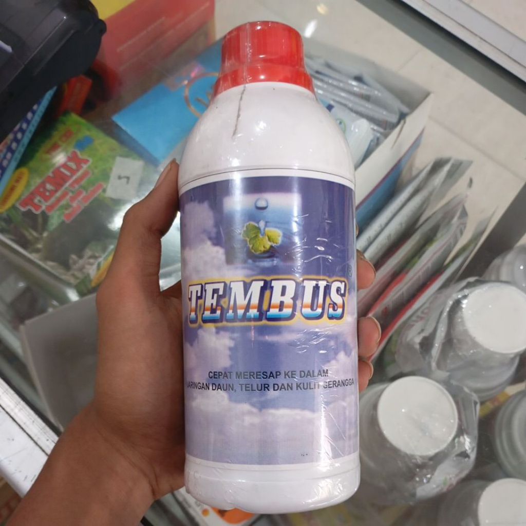 Perekat Tembus