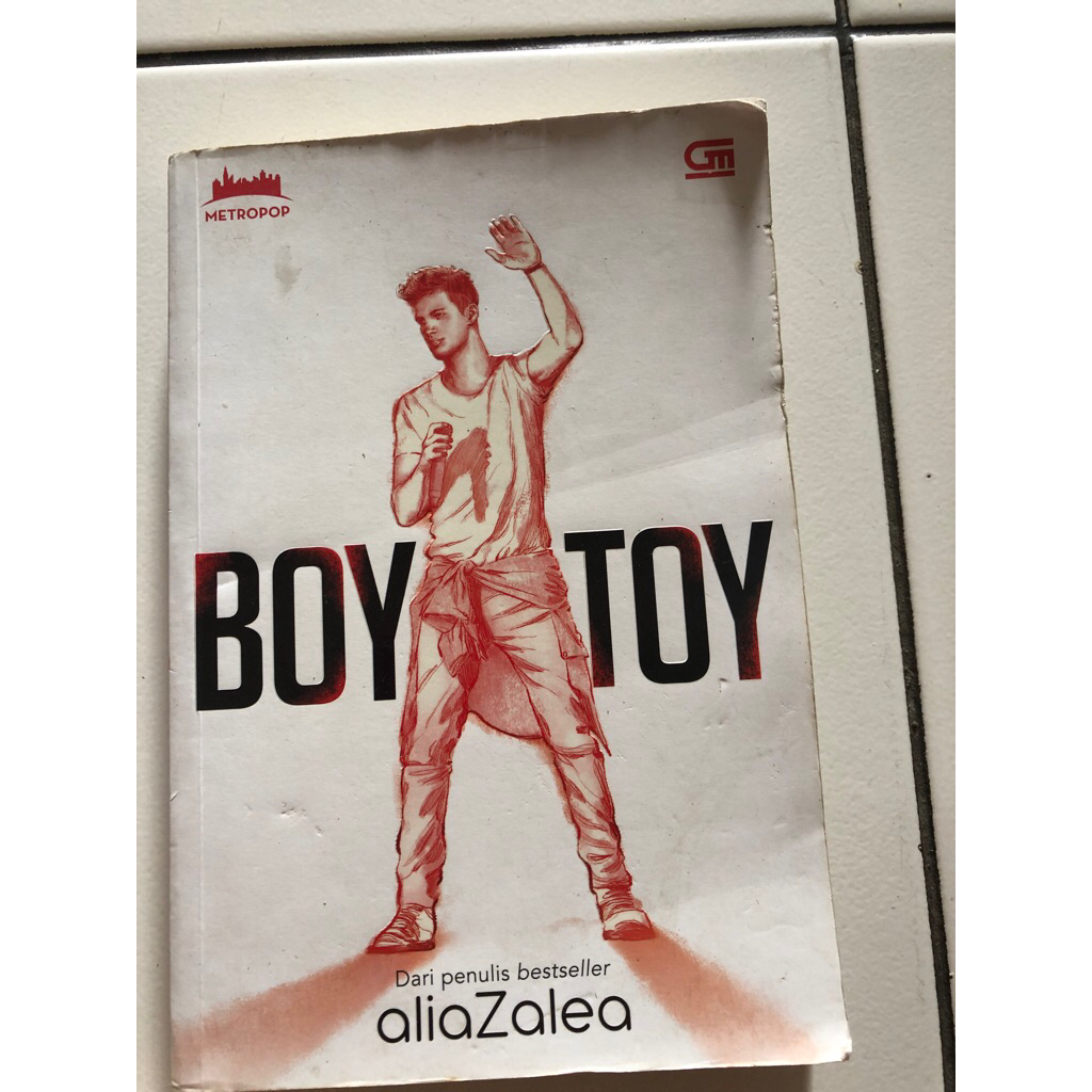 BOY TOY