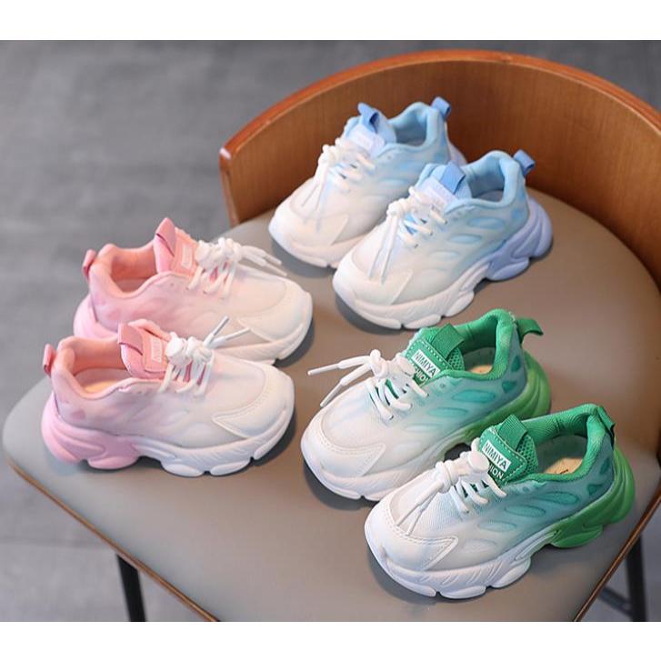 Colour Blend Shoes
