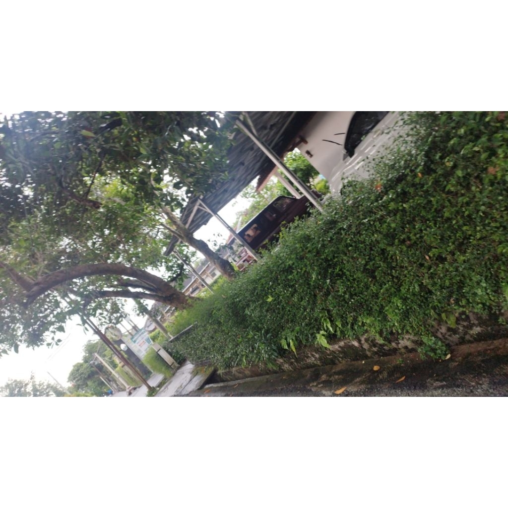 PESANAN KHUSUS D0T