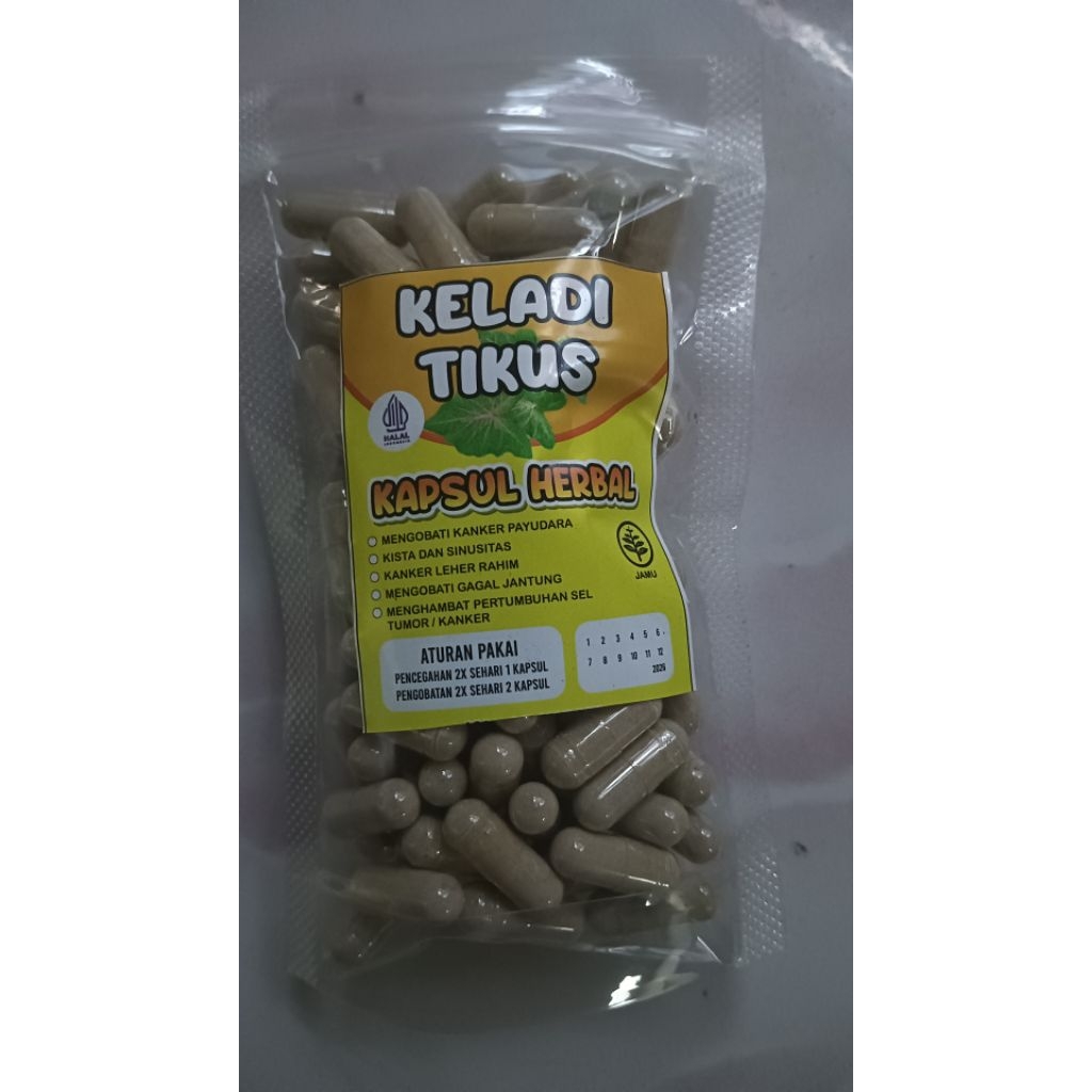 keladi tikus 100 kapsul