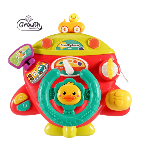 Multi-Functional Steering Wheel G-840