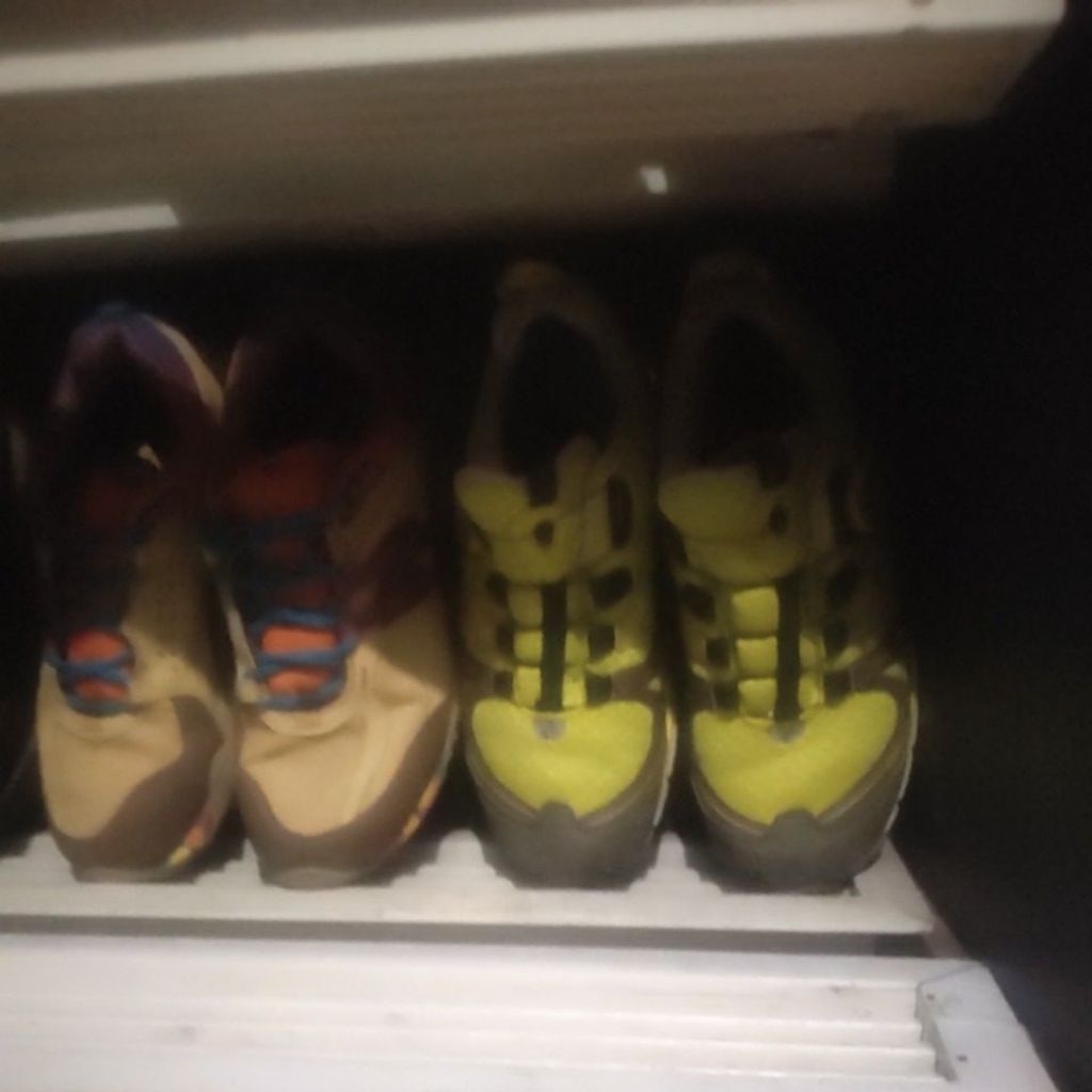 sepatu