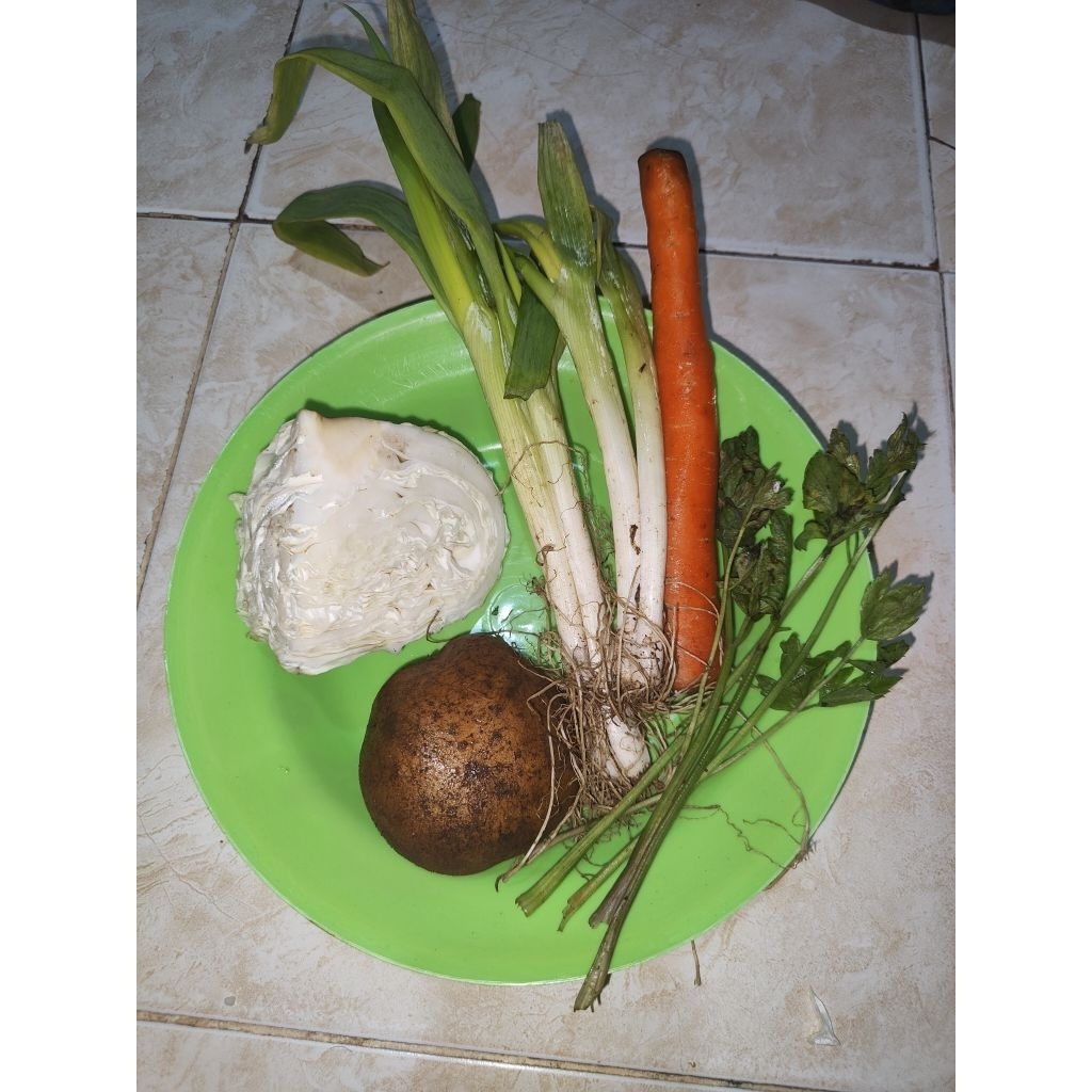 sop sop sayur