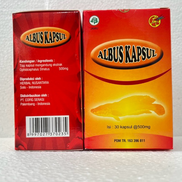 ALBUS KAPSUL 30 KAPSUL