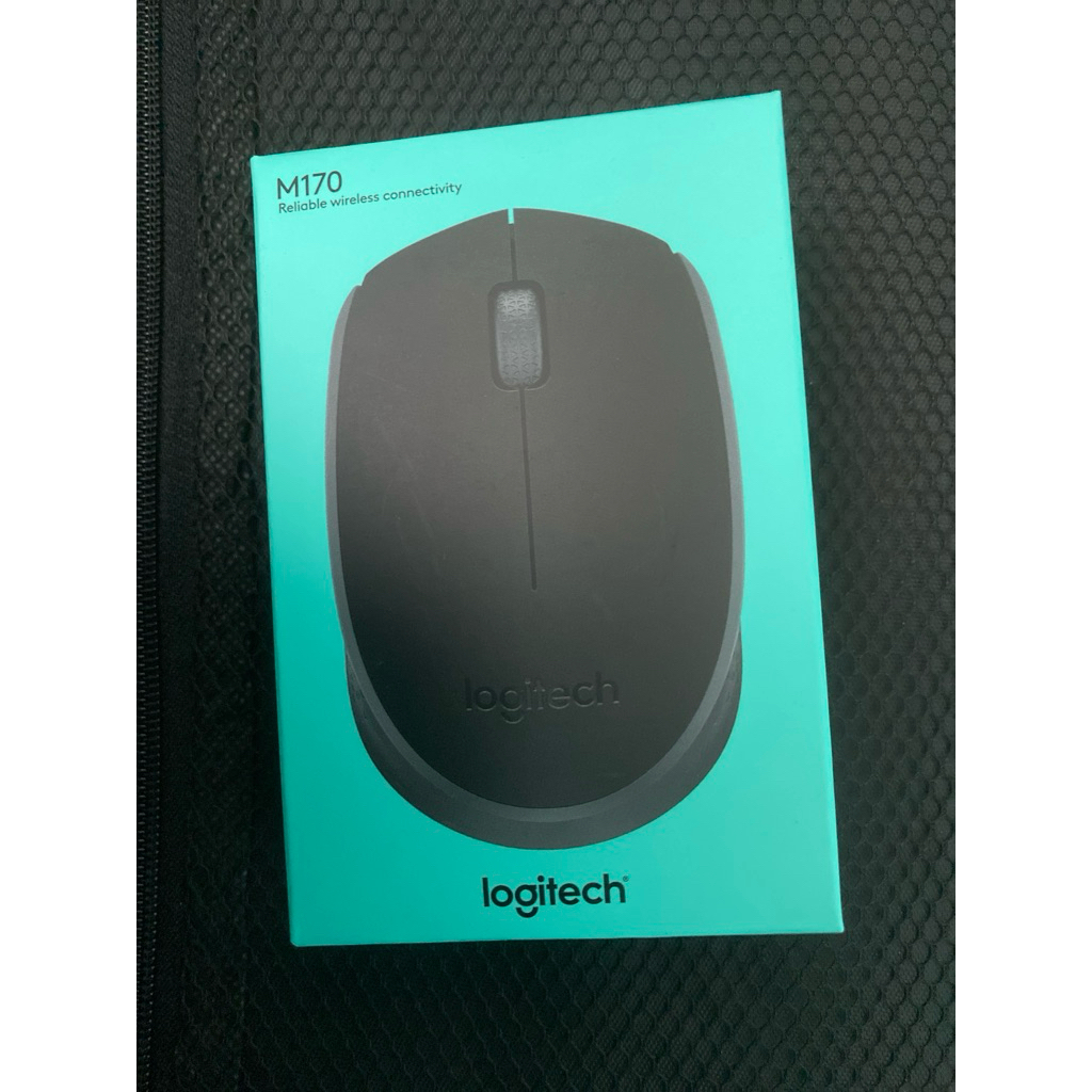 Mouse Logitech M170
