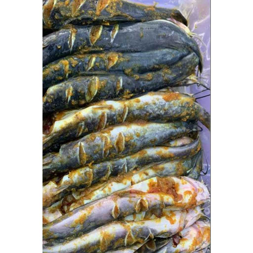 lele marinasi 3pcs