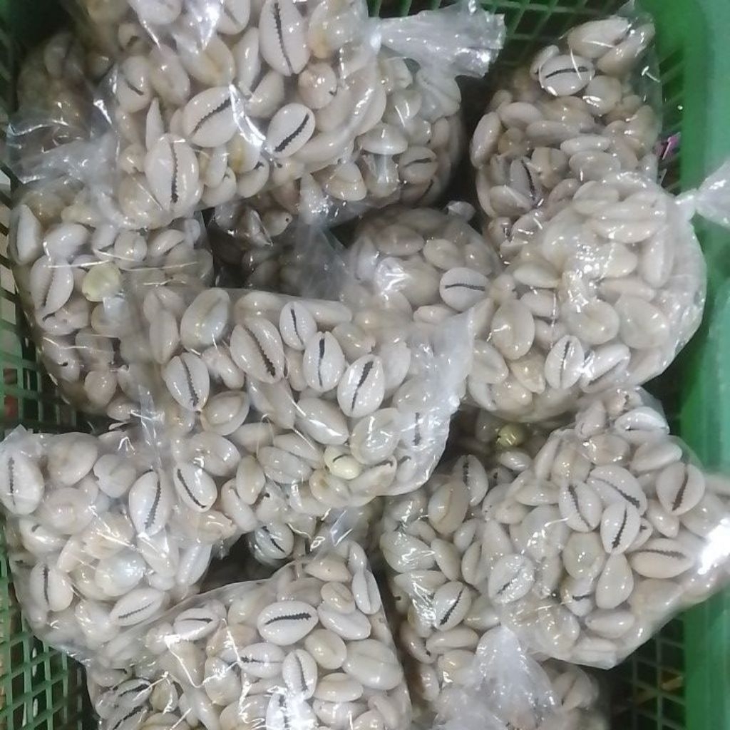 Kucing Kucing | isi congklak