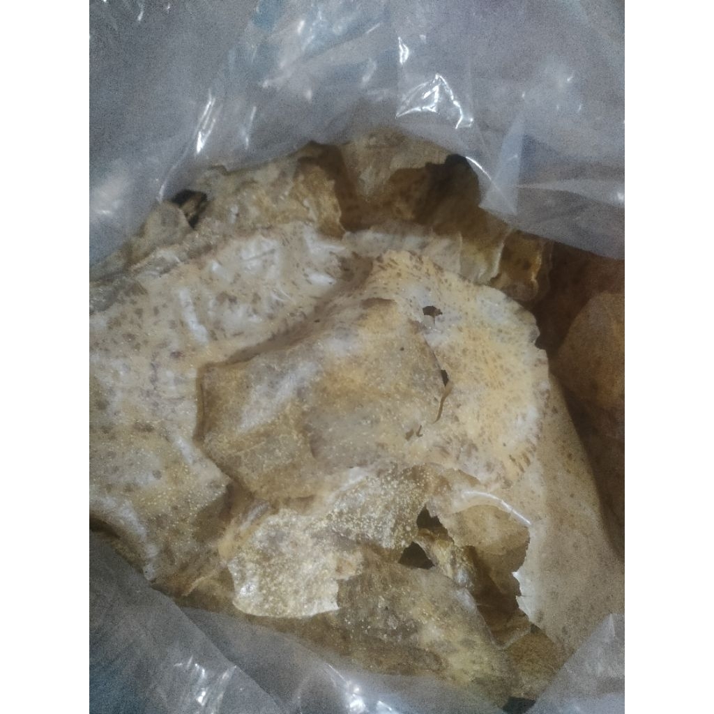 kerupuk jengkol