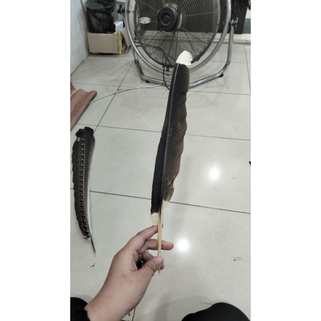 AKSESORIS TARI DAYAK