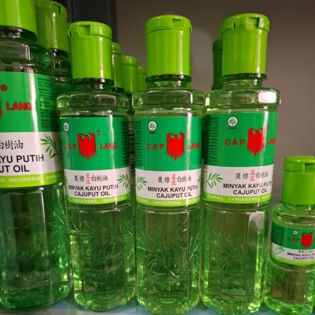Caplang Kayu Putih