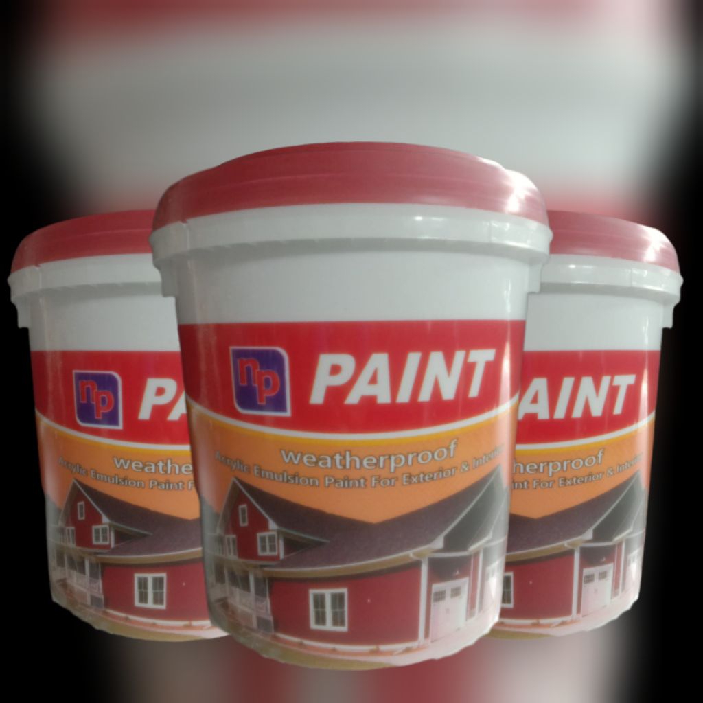 Np paint