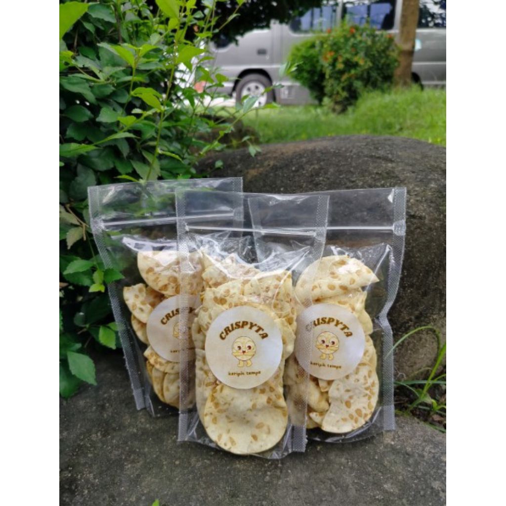 Crispyta - Keripik Tempe