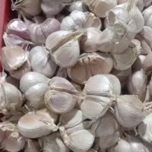 kating superrr 400g