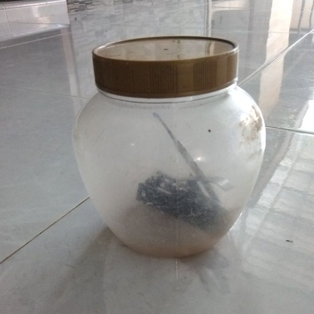 toples plastik cantik