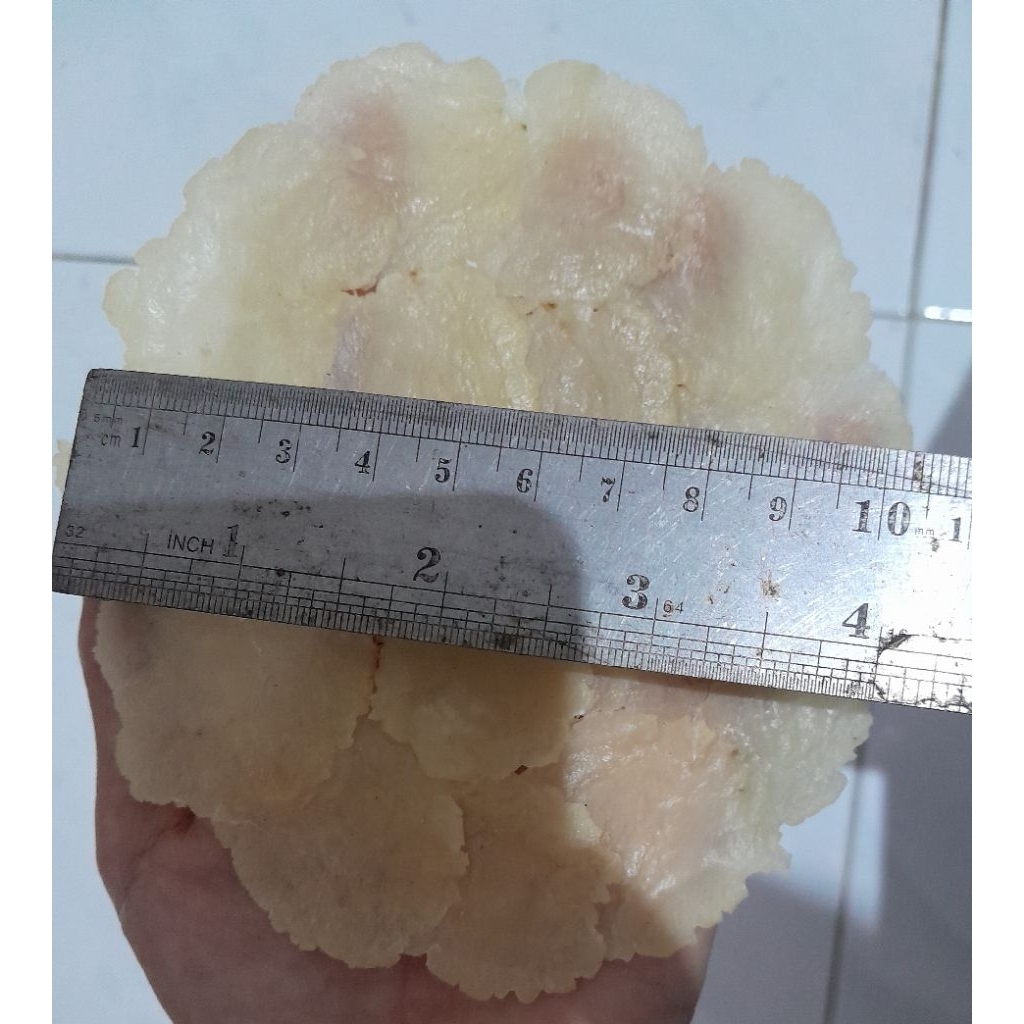 emping mentah 250gr 450gr