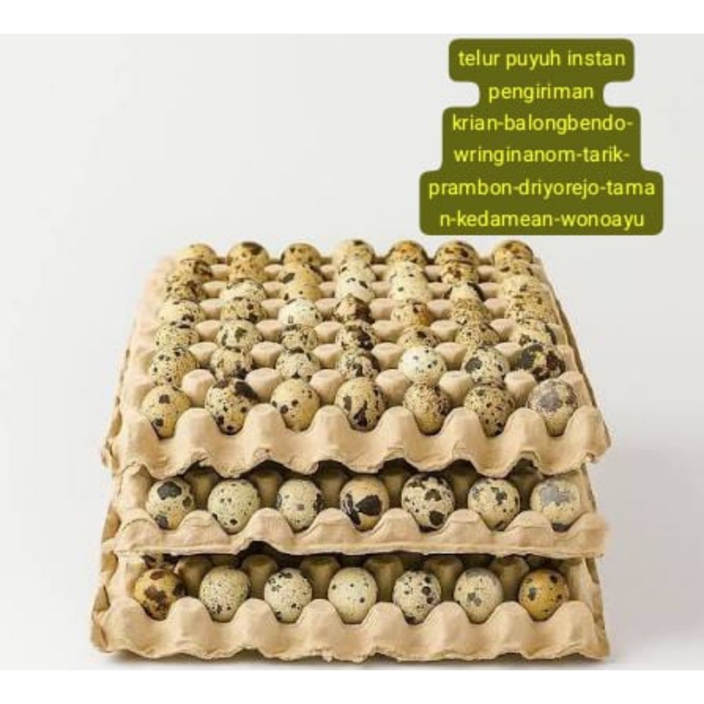 Telur puyuh 1250gr