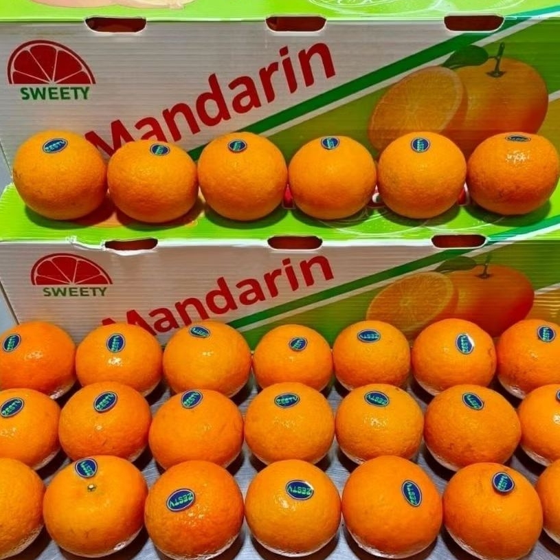 jeruk wogan jeruk mandarin fresh