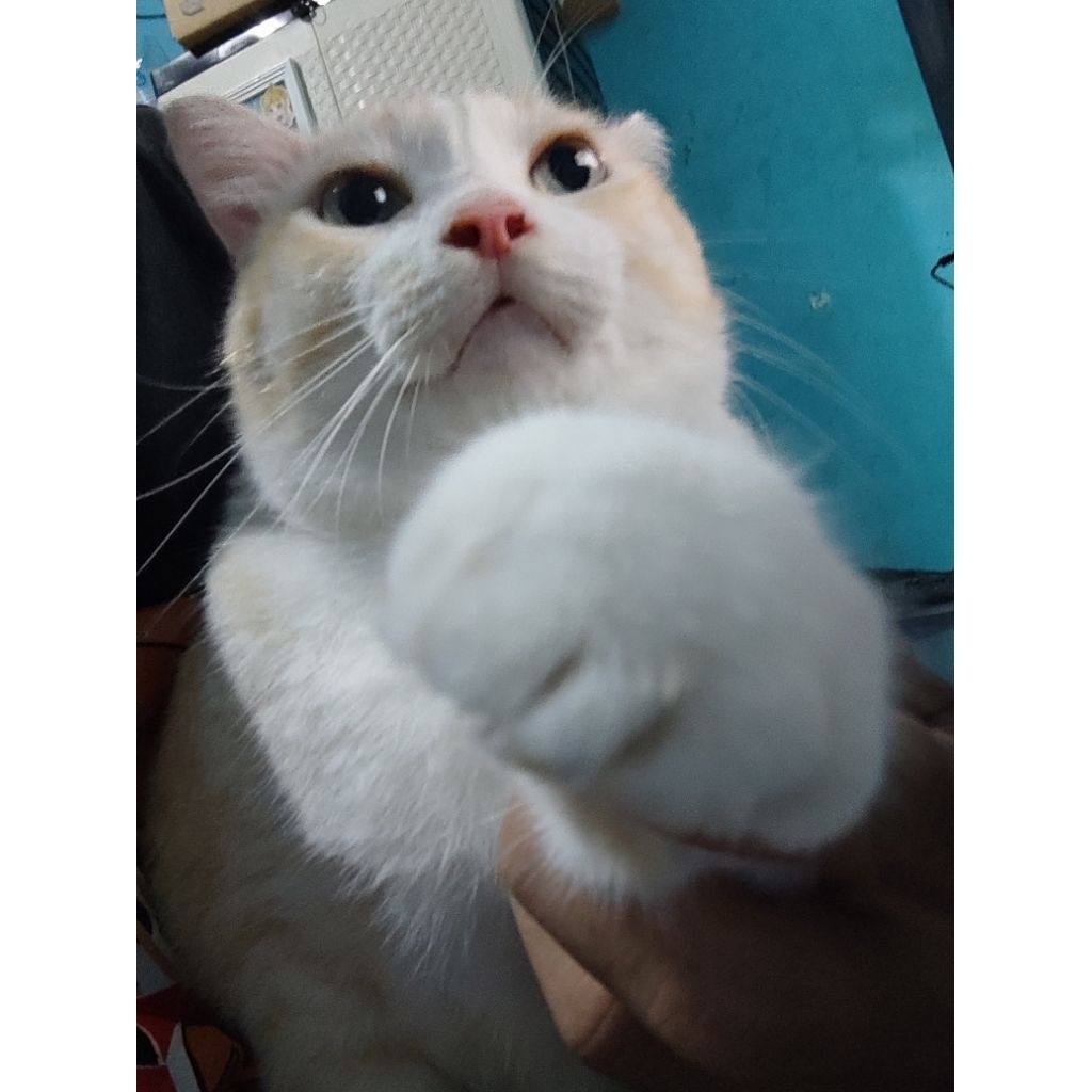 Barang Lucu Random Kargo