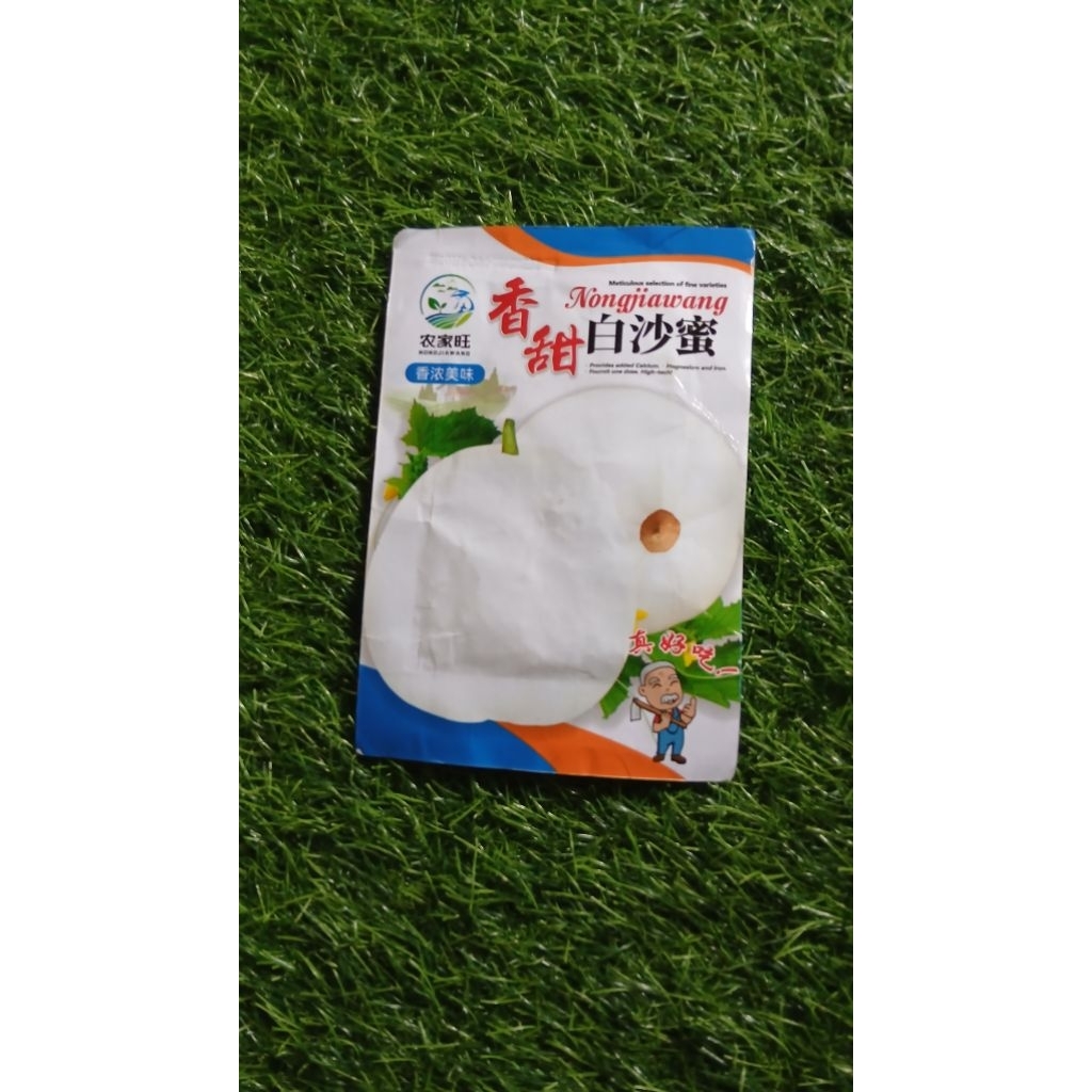 BIJI BENIH MELON MADU PUTIH