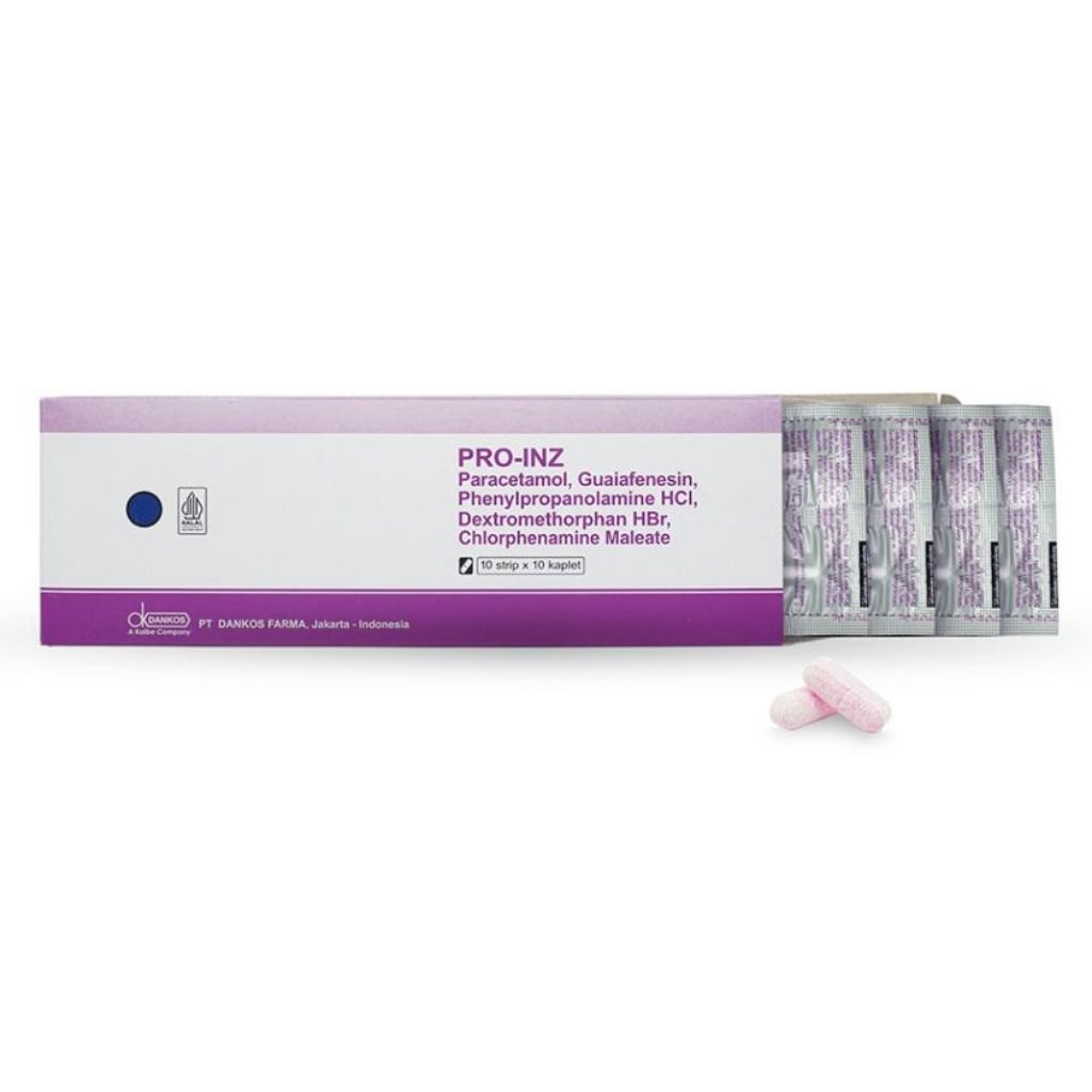 PRO-INZ BOX ISI 10 BOX
