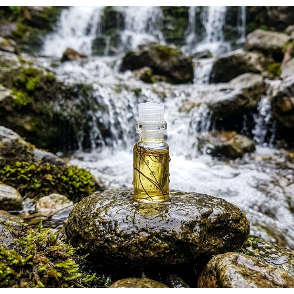 Parfum 100% Original