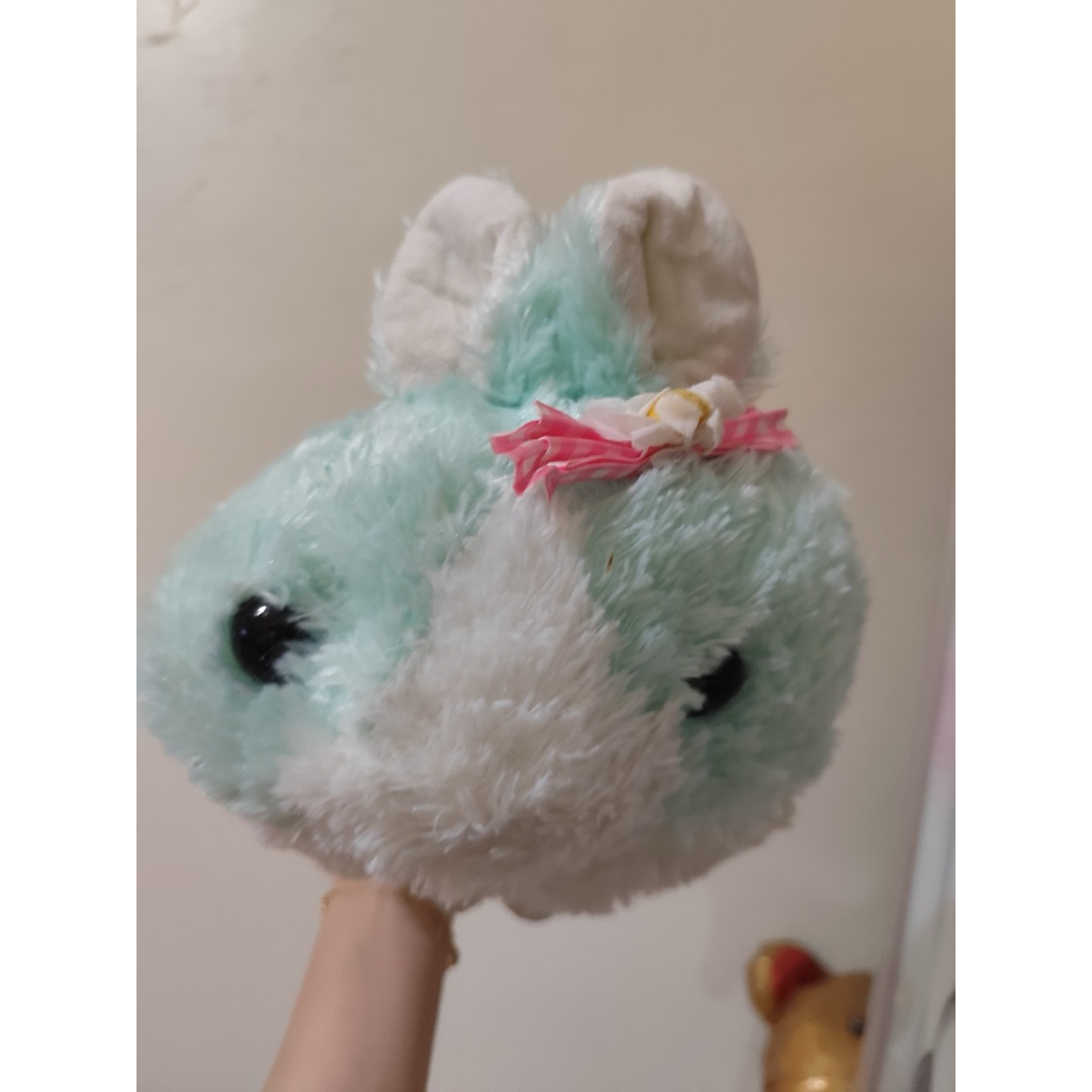 Kelinci Amuse