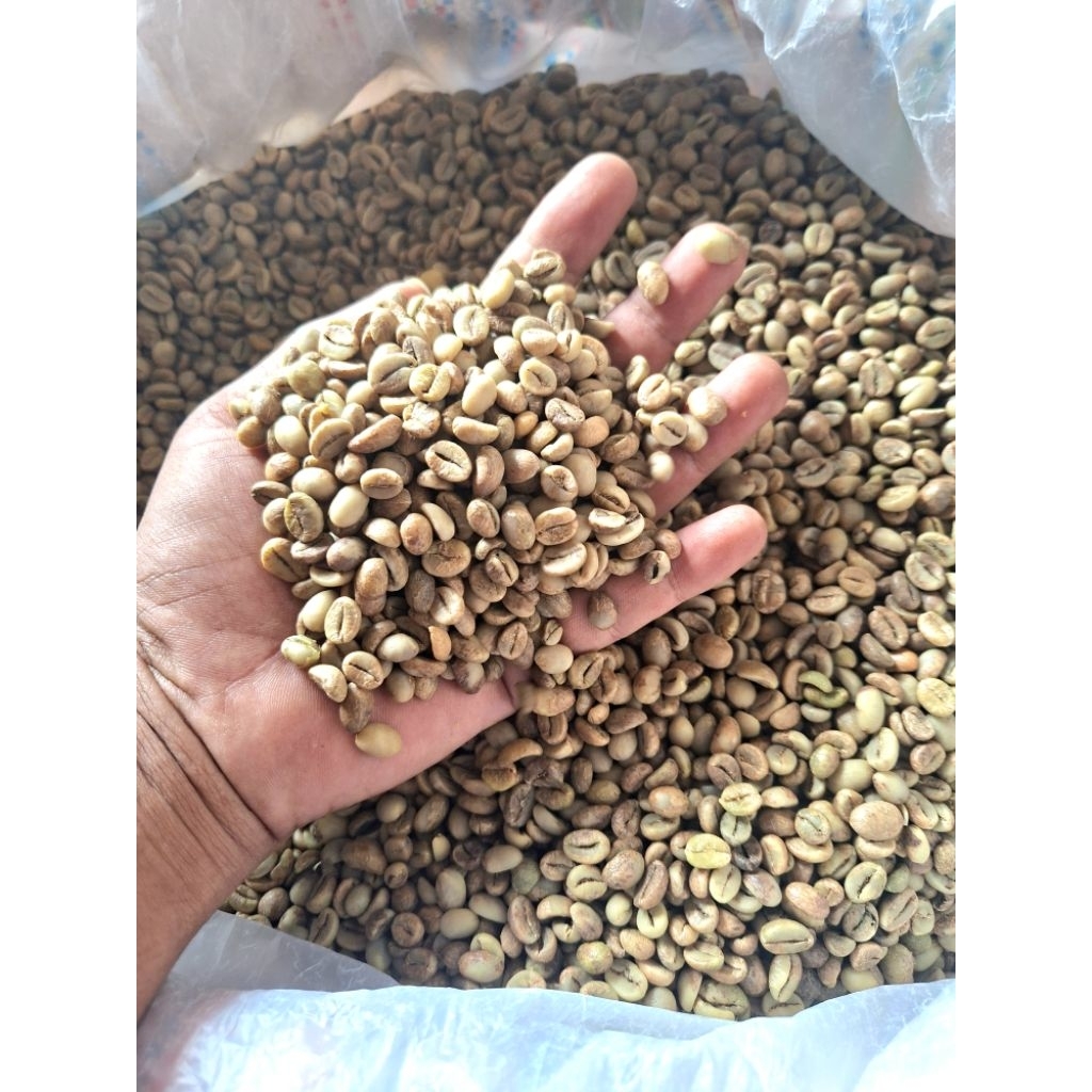greenbean robusta lampung grade1 1000gr