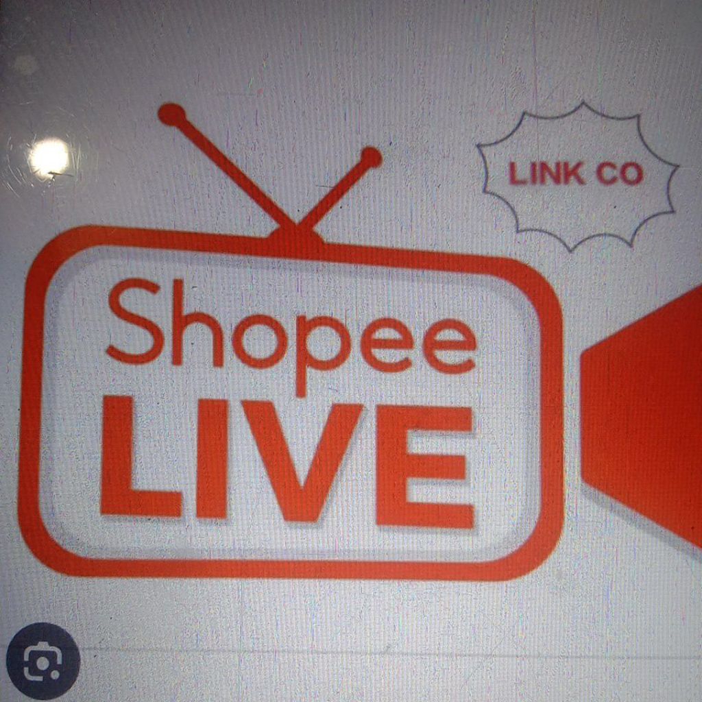 Link CO 1000