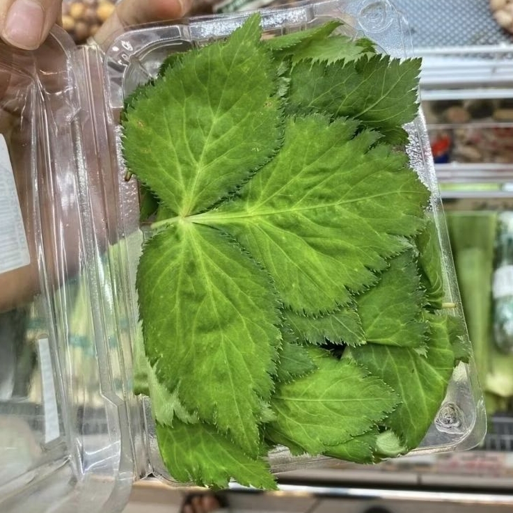 Daun Mitsuba fresh / pack