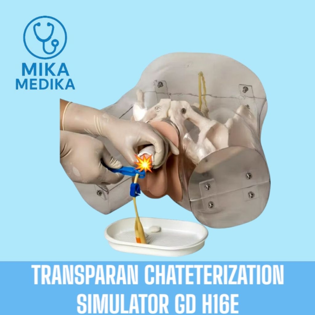 TRANSPARAN CHATETERIZATION SIMULATOR GD H16E/ GENERAL DOCTOR