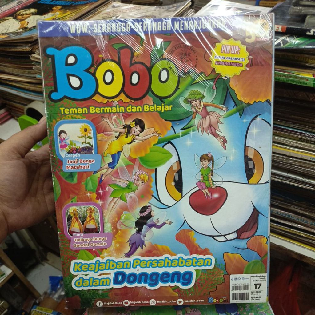 Bobo tahun 2022- 2024 random