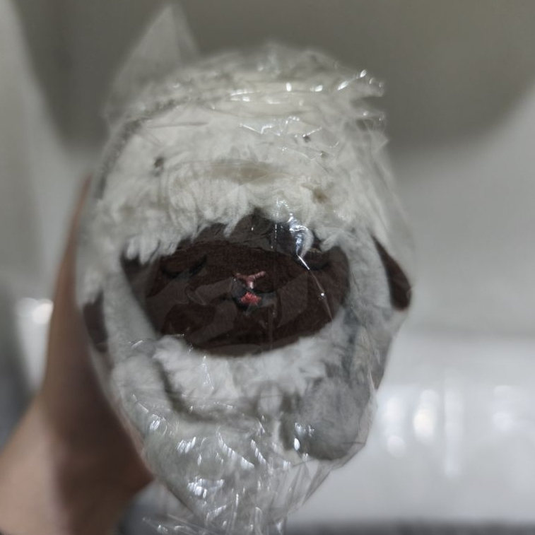 Ganci Pokemon Wooloo