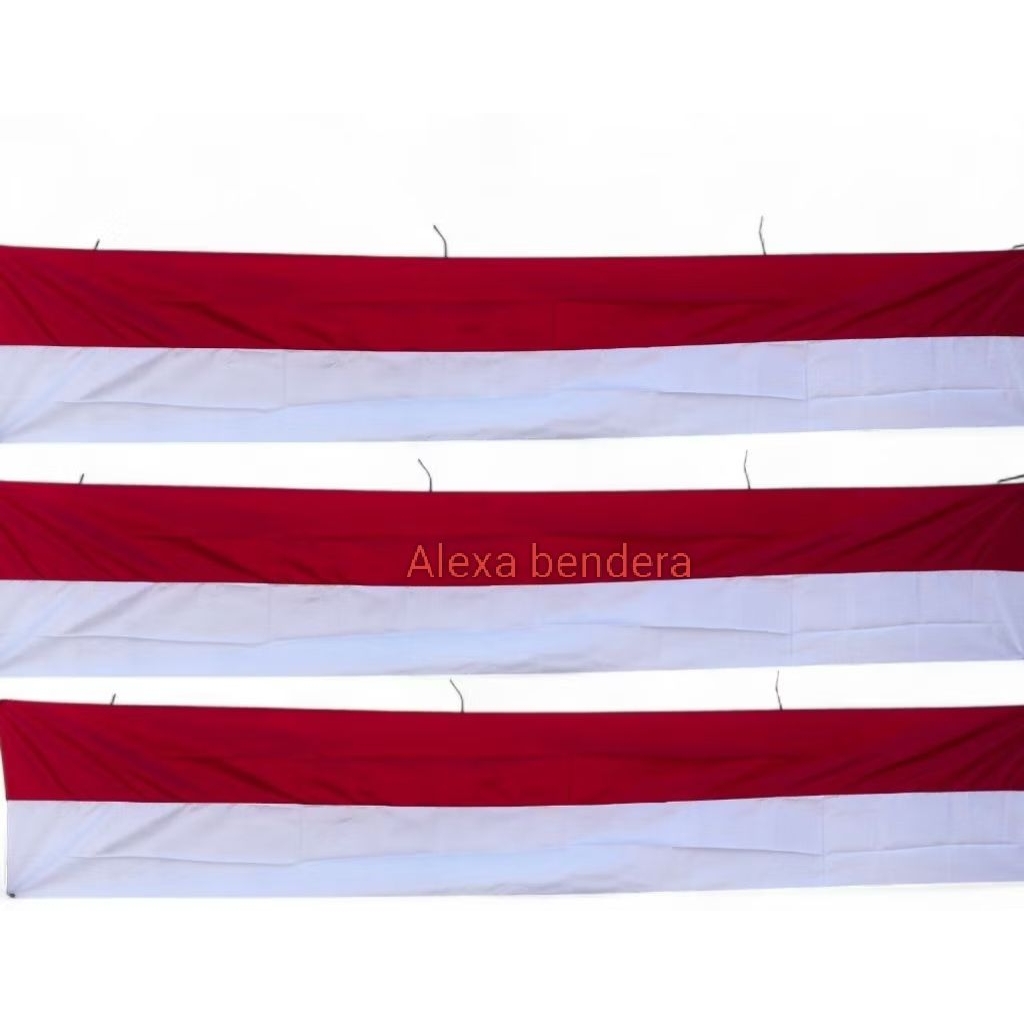 bendera lespang 5mt