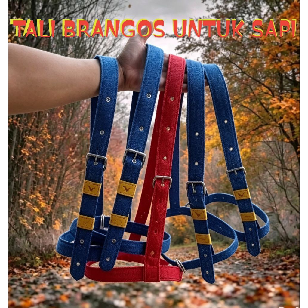TALI BRANGOS UNTUK SAPI