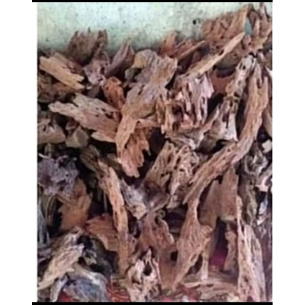 RENTEK KECIL RANDOM /10 PCS