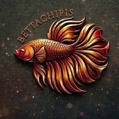 co live bettachipis