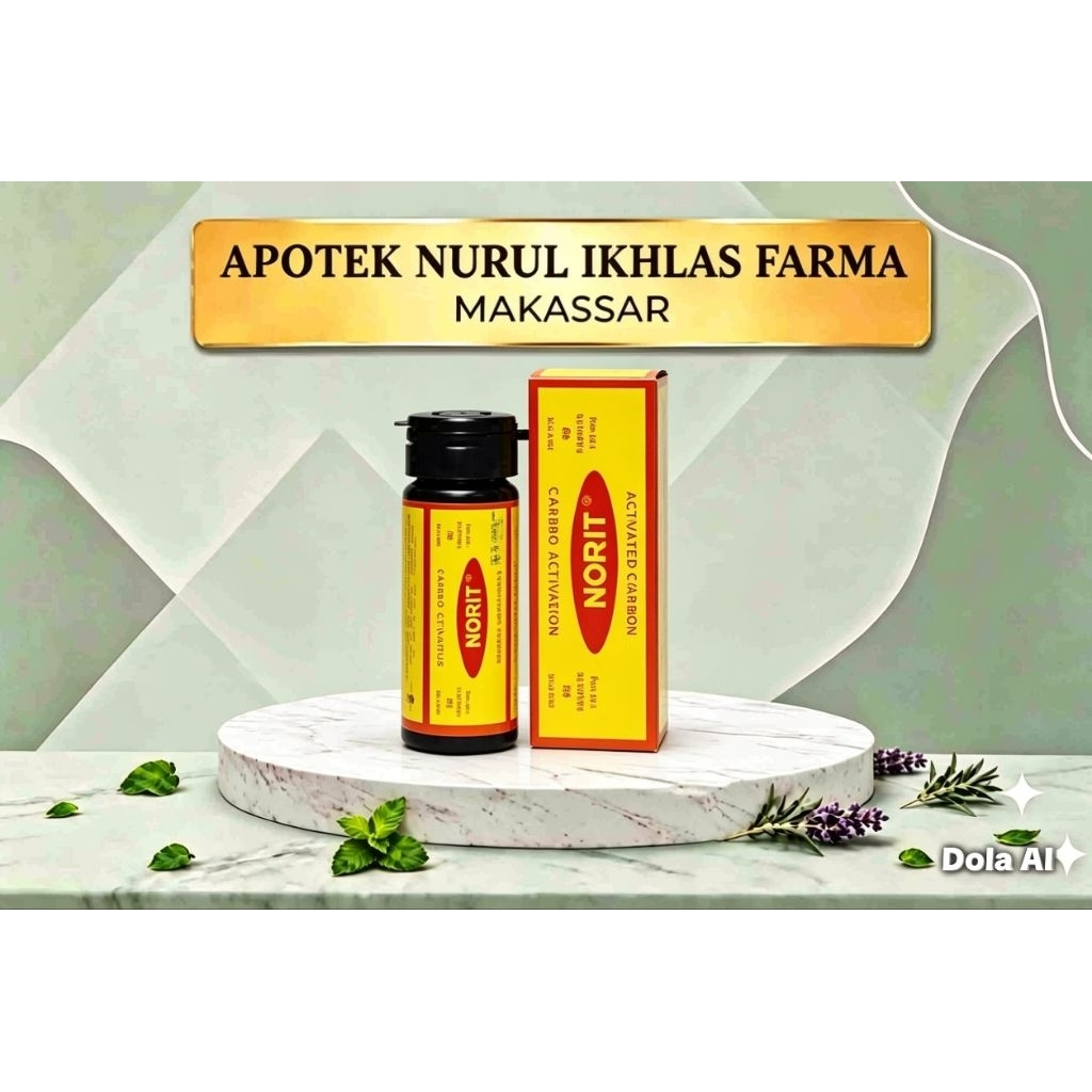 NORIT karbon aktif cap Lang 40tablet