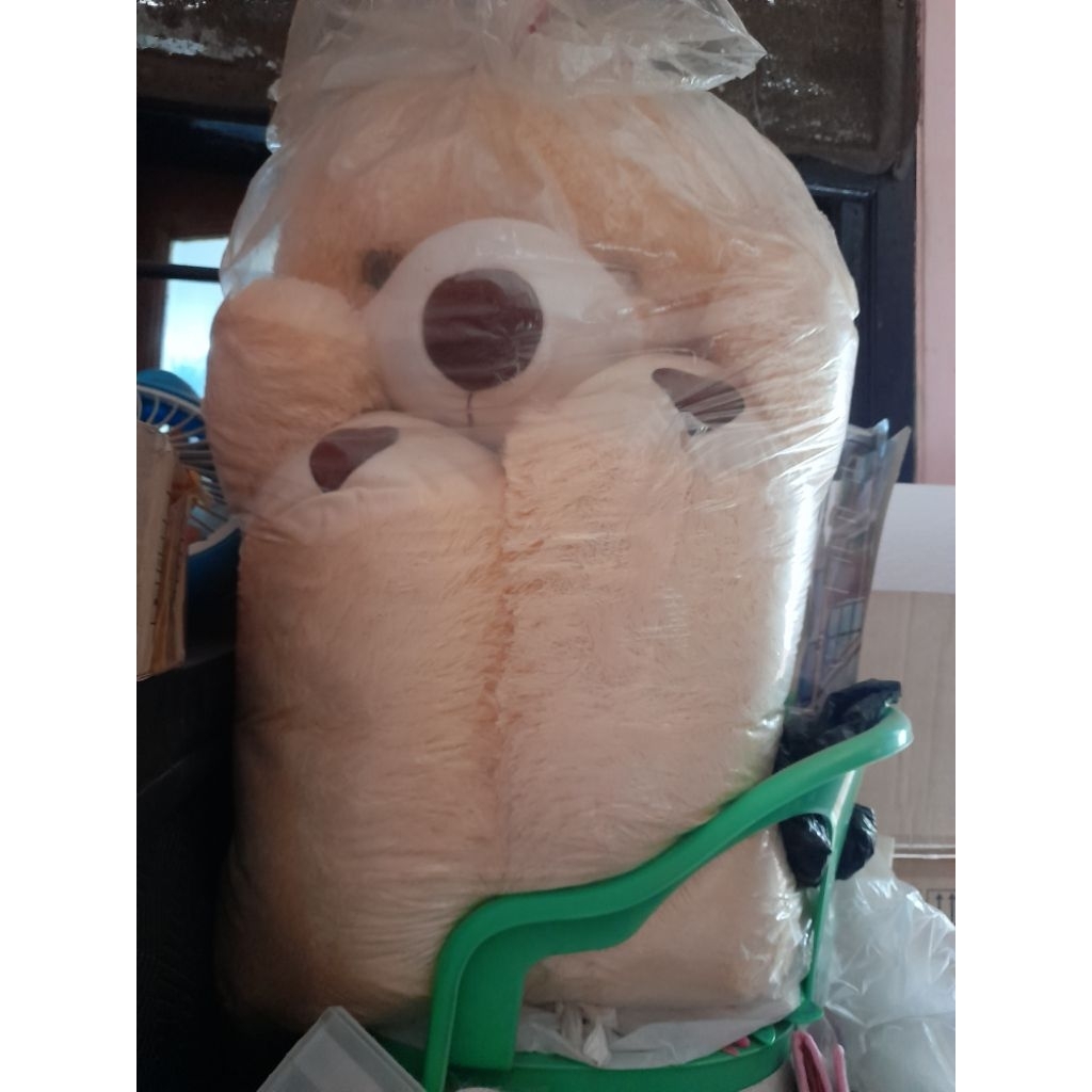 Boneka Teddy cream jumbo