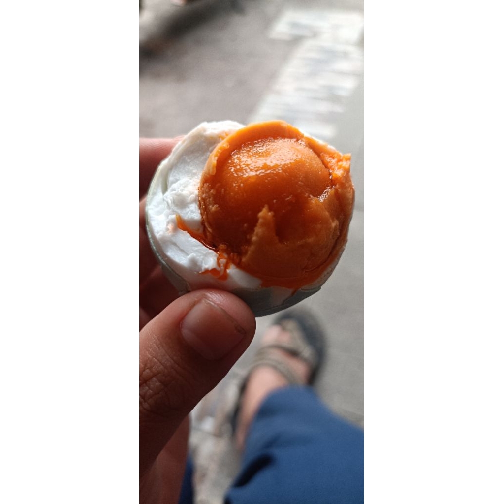 telor asin