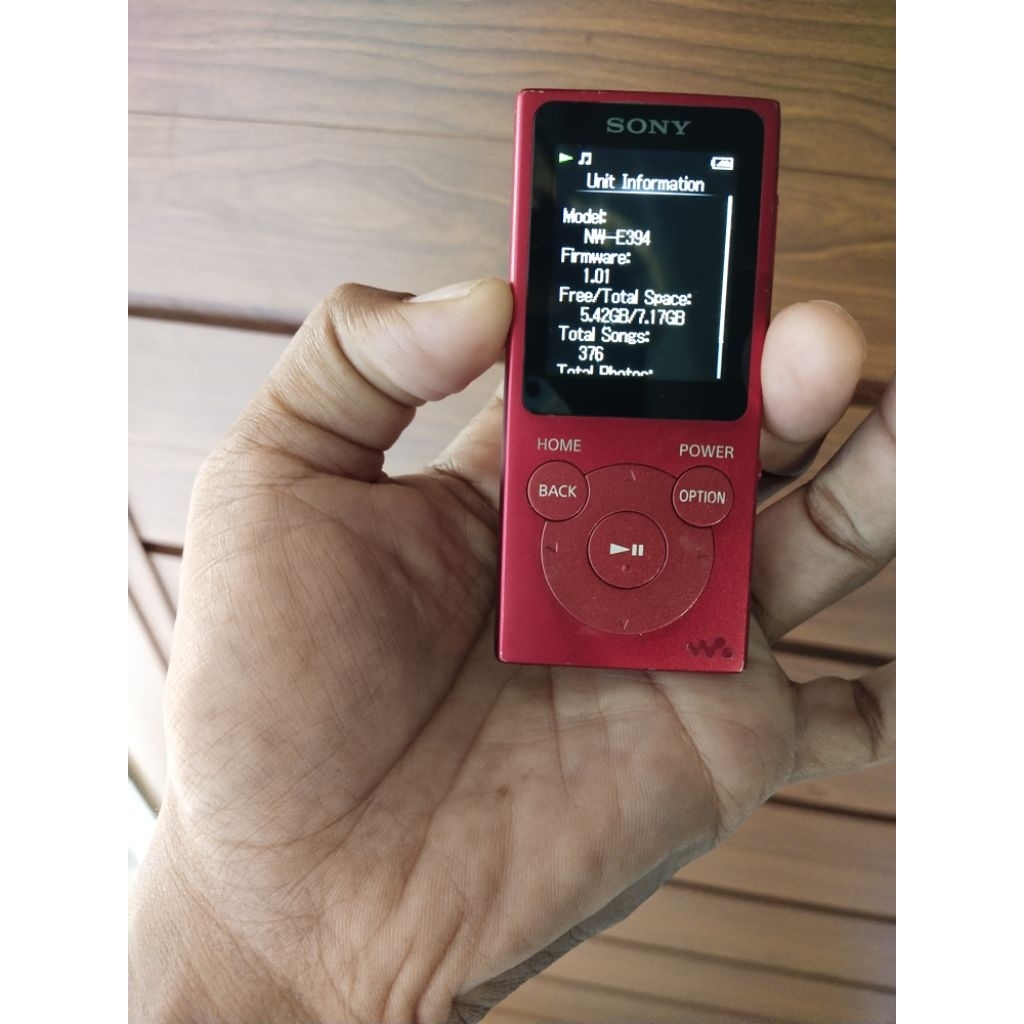 Sony NW -e394 MP3 player original