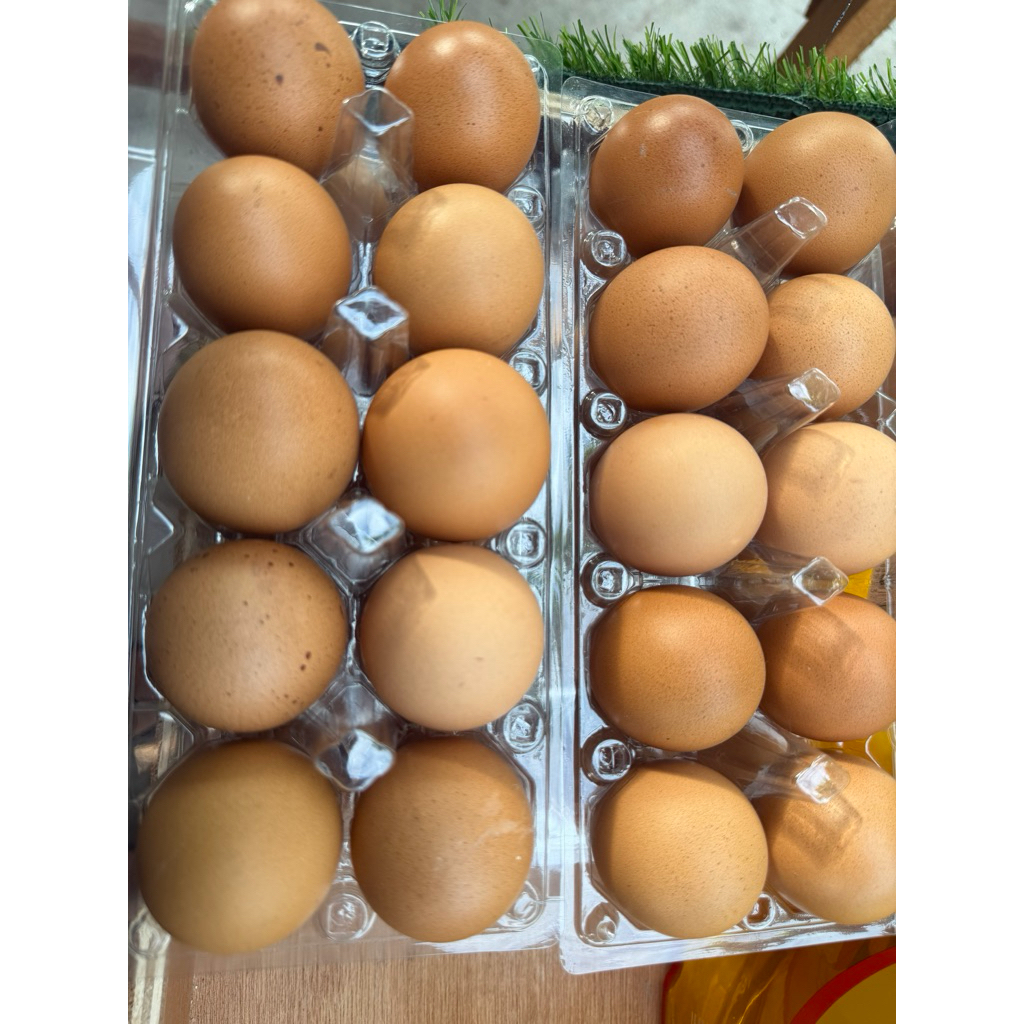 TELUR AYAM NEGRI