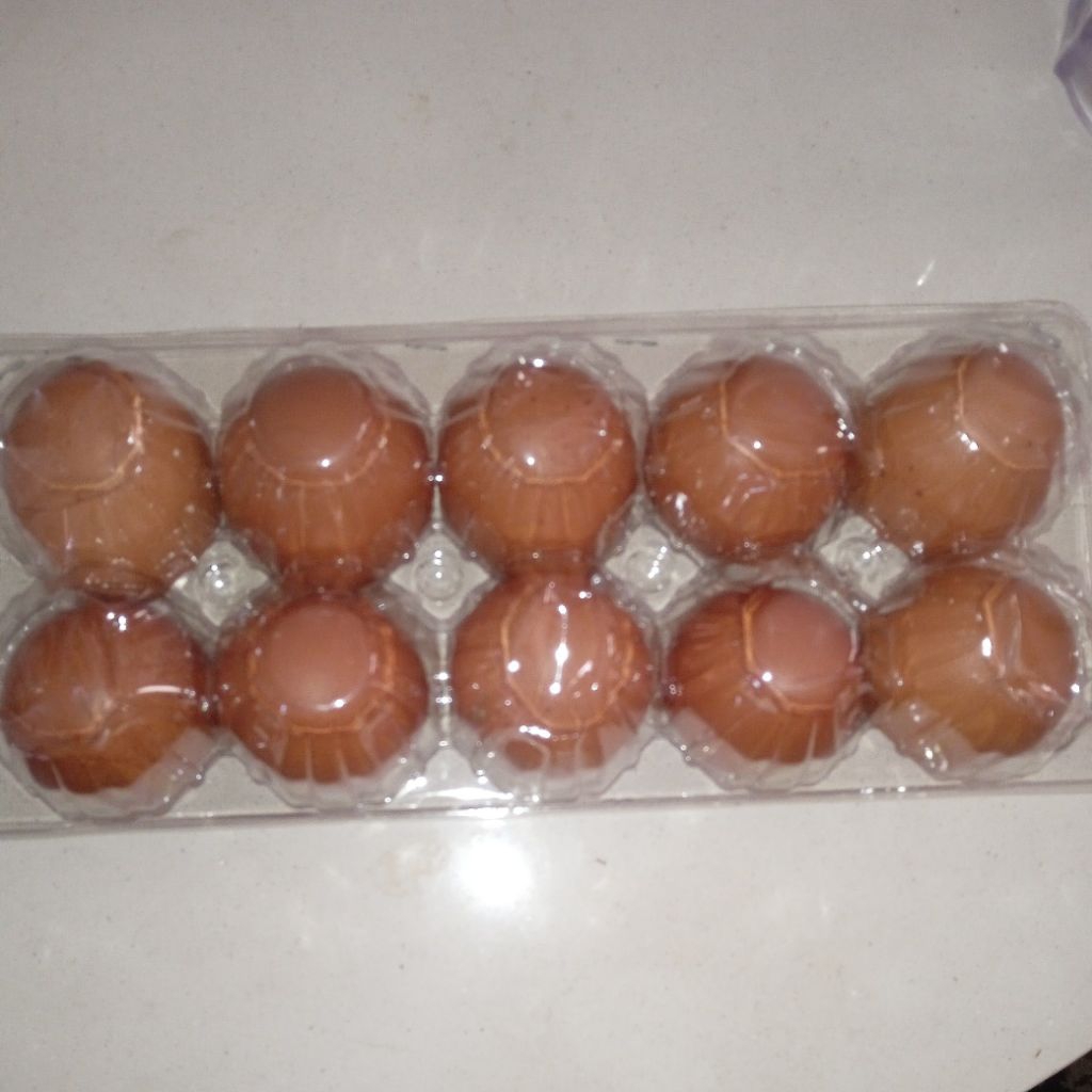 telur fresh